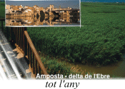 Turismo en Amposta