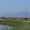 LA LLACUNA DE LA TANCADA : Carril bici al voltant de la llacuna de la Tancada