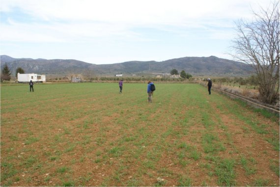 Ajuntament d´Amposta > Comunicació > Presentació dels projectes de recerca arqueològica de l’Ebre al Museu de les Terres de l’Ebre