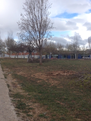Ajuntament d´Amposta > Comunicació > Comencen els treballs previs a la construcció de l’estació d’autobusos d’Amposta