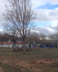 Comencen els treballs previs a la construcció de l’estació d’autobusos d’Amposta