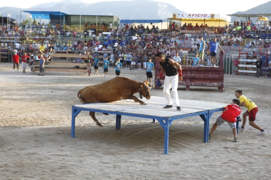 Ajuntament d´Amposta > Comunicació > Amposta programa 43 actes de bous per a la setmana de festes