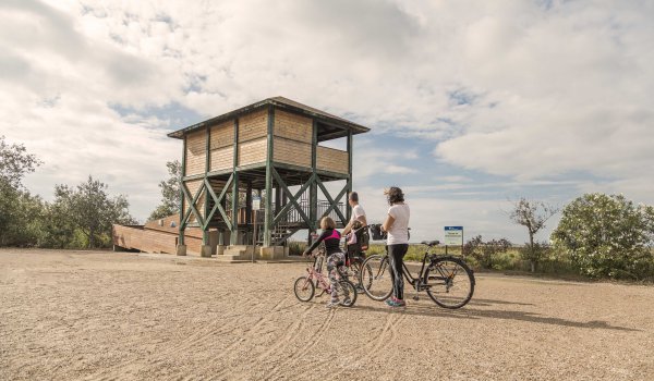 Amposta rep el segell de Cicloturisme i promociona la bicicleta com a part fonamental de l’experiència turística
