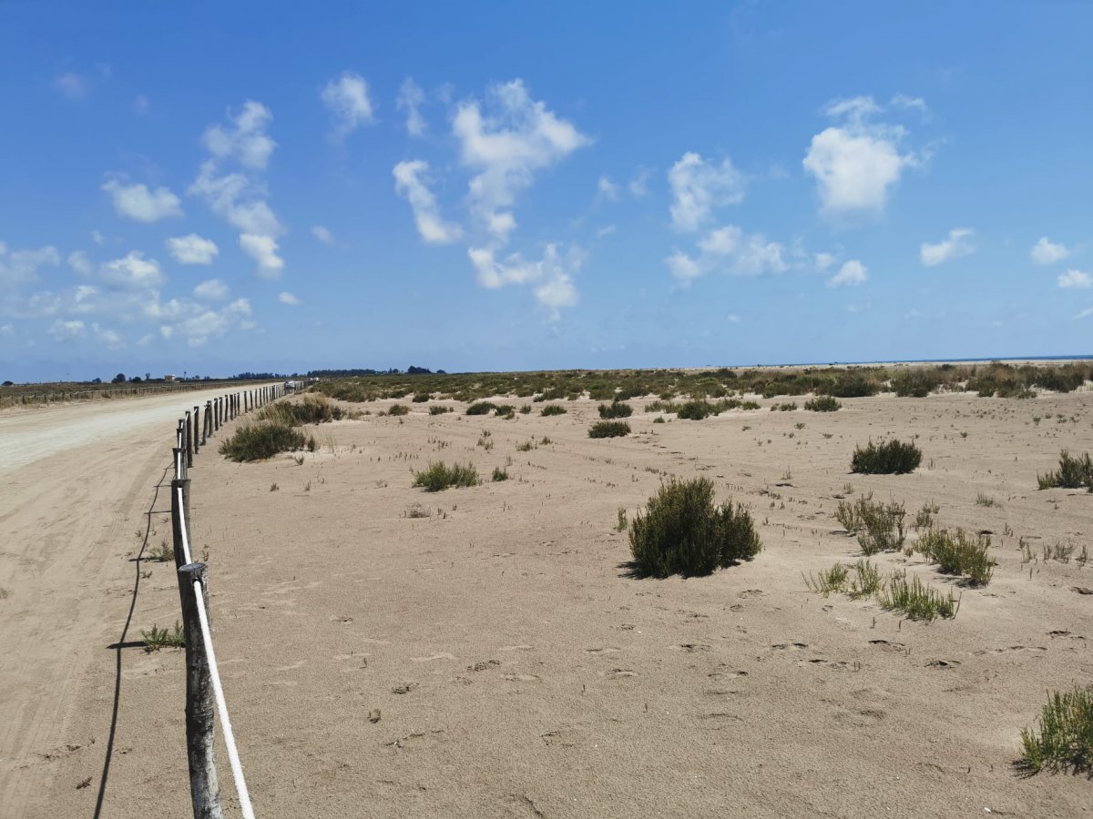 L’Ajuntament implanta un model de neteja més sostenible a la platja dels Eucaliptus