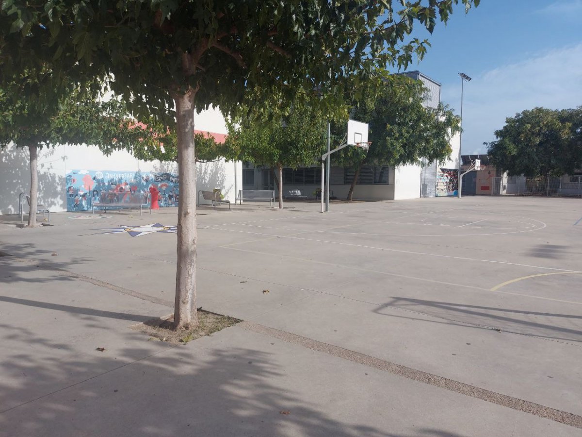Dos nous grups i més alumnes matriculats als centres educatius d’Amposta