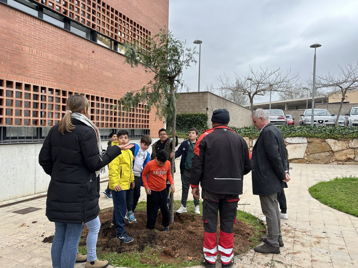 Més de 300 alumnes planten una vintena d’arbres i plantes pel Dia Mundial dels Boscos