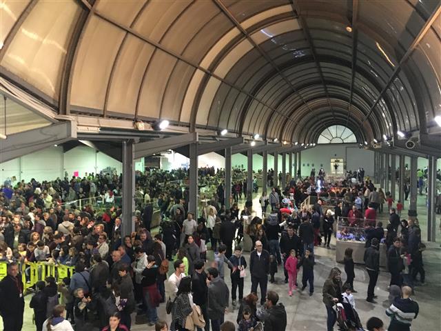 Ajuntament d´Amposta > Comunicació > Més de 10.000 visitants omplen la quarta edició d’Expoclick
