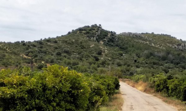 L’Ajuntament i la URV col·laboren en la recerca arqueològica del jaciment de l’Antic