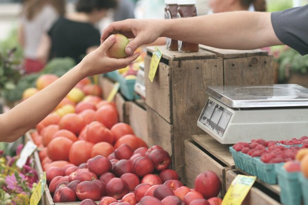 COVID-19: L’Ajuntament d’Amposta i Càritas, Creu Roja i Siloé incrementen el suport a les famílies per garantir el dret a l’alimentació