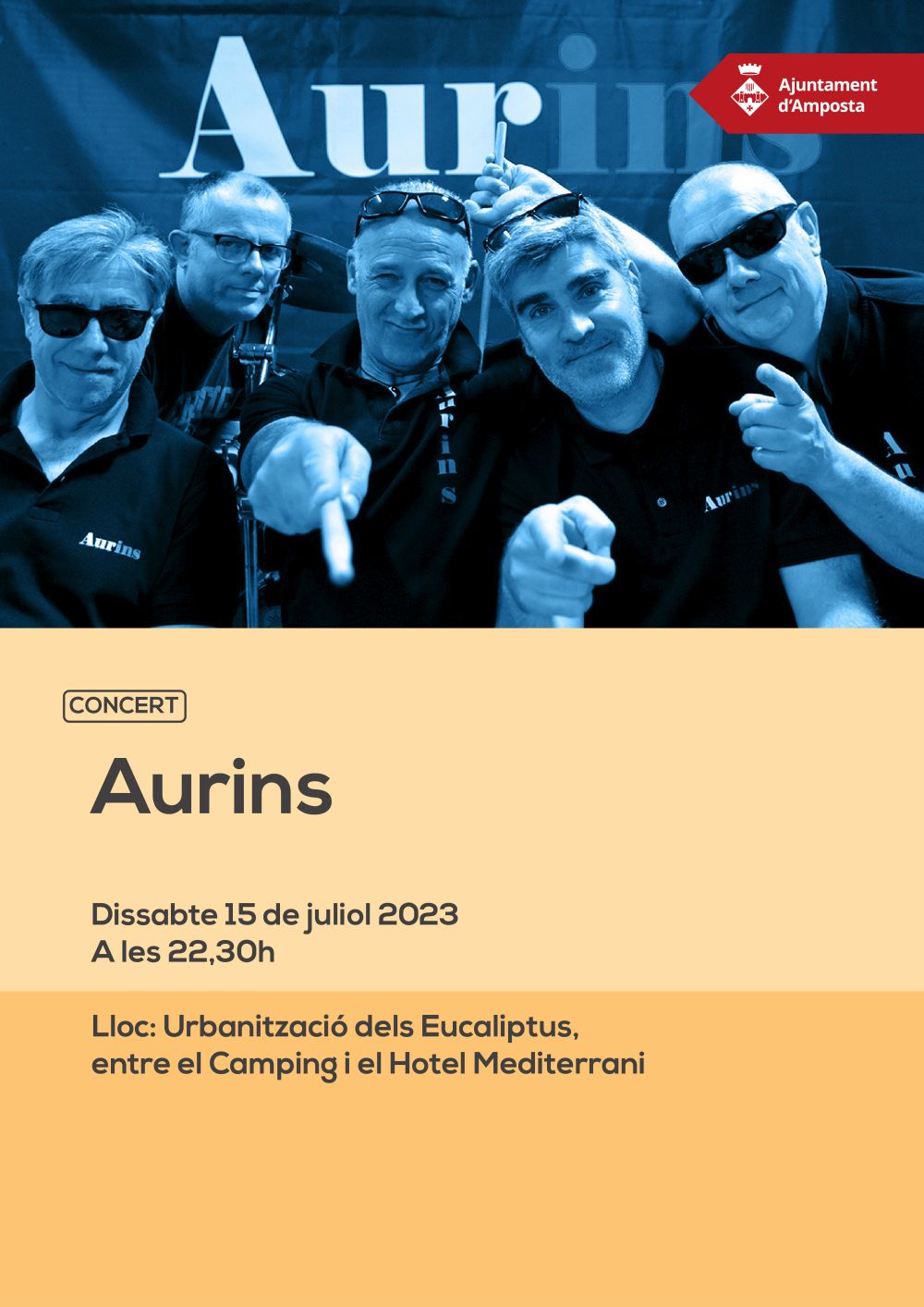 Ajuntament d´Amposta > agenda > Concert: Aurins