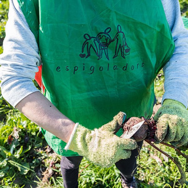 Crida al voluntariat: Espigoladors
