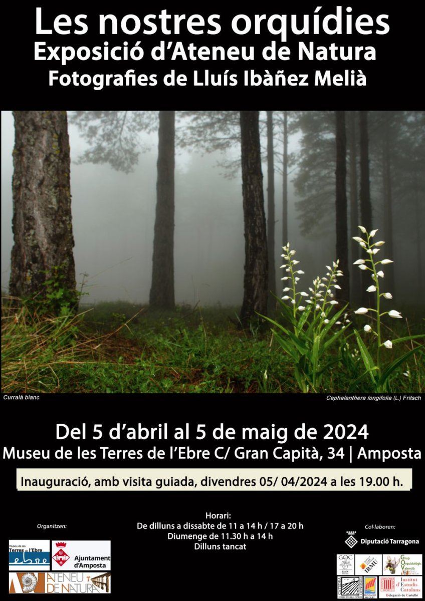 Ajuntament d´Amposta > agenda > Inauguració i visita guiada de l’exposició fotogràfica "Les nostres orquídies"