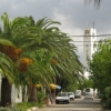 El Poble Nou del Delta