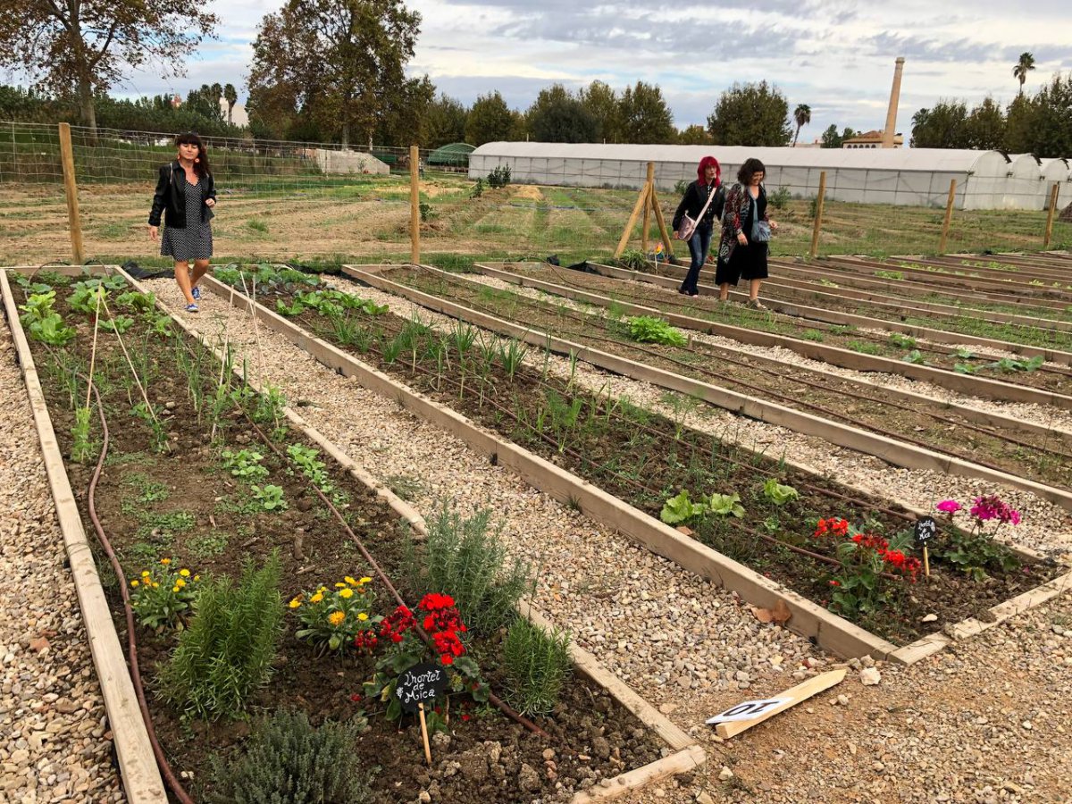 L’hort comunitari Lo Tros s’amplia amb onze parcel·les més