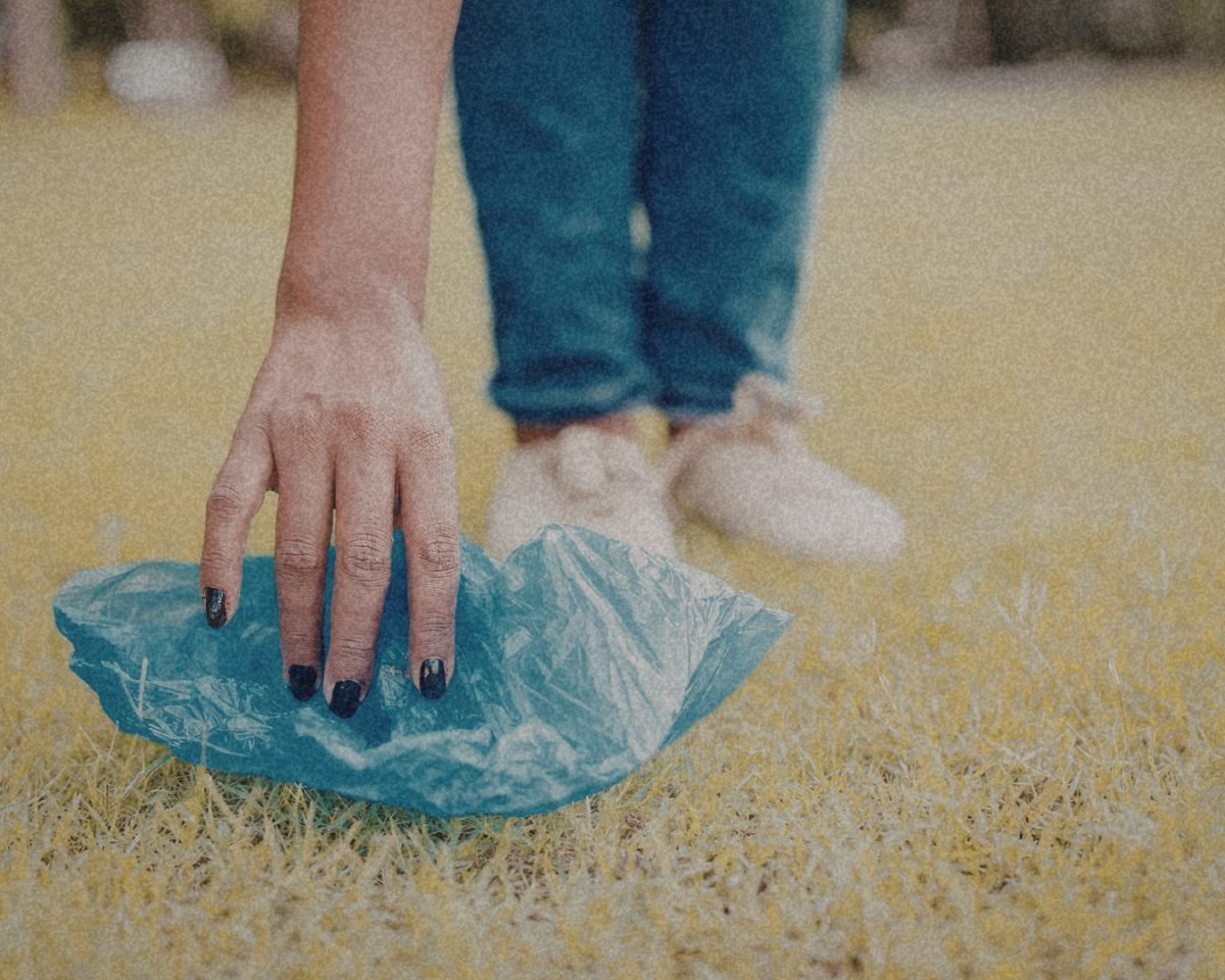 Amposta impulsa el cens genètic caní amb la contractació del servei d&rsquo;ADN per millorar el civisme i la neteja urbana