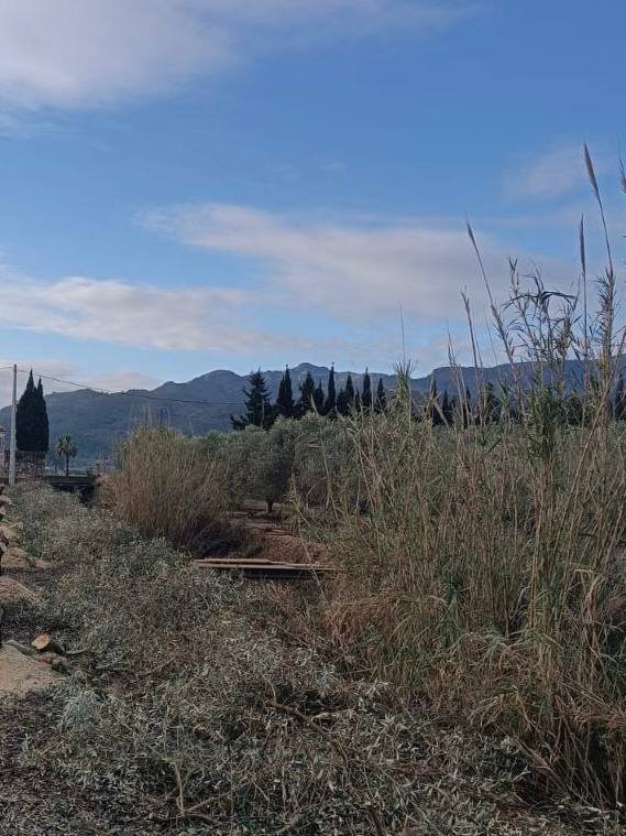 Amposta inicia la recuperació de l&rsquo;antiga sèquia mare per prevenir inundacions als Ullals de Baltasar