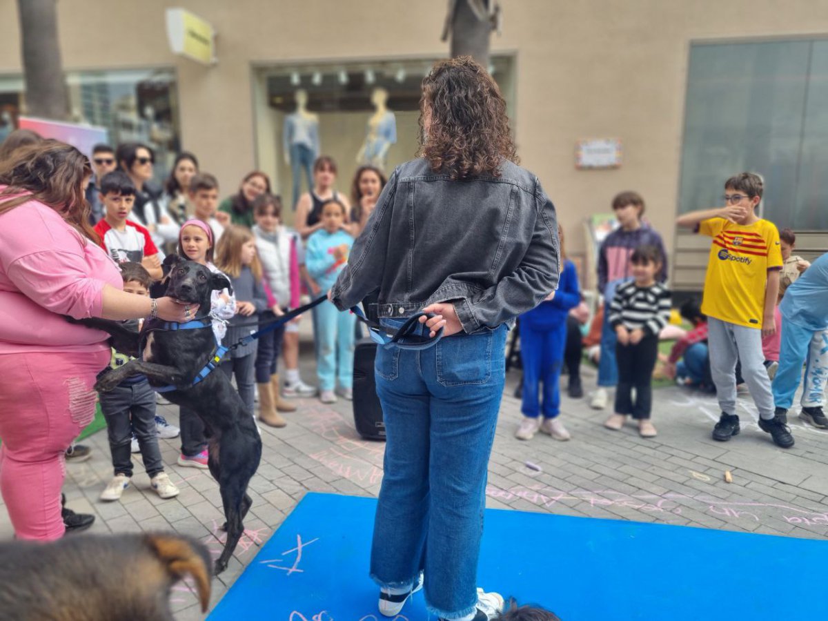 La Minifest dels Infants omple de jocs i animals el carrer dels Infants, proposta del Consell d’Infants d’Amposta