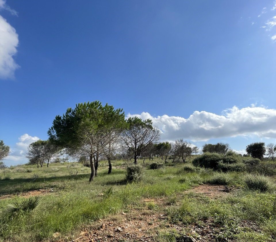 L’Ajuntament signa un acord de custòdia de terrenys municipals amb Aula i Natura
