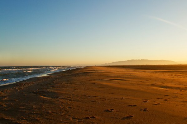 L’Ajuntament encomana a Amposta Serveis Municipals el control de la platja d’Eucaliptus