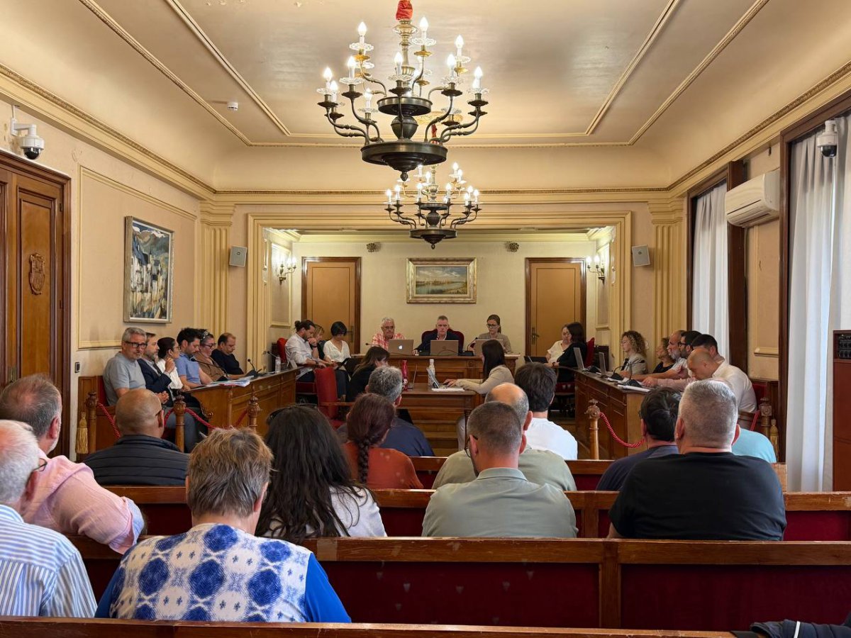 El ple d&rsquo;Amposta aprova per unanimitat demanar la Creu de Sant Jordi per a Apasa