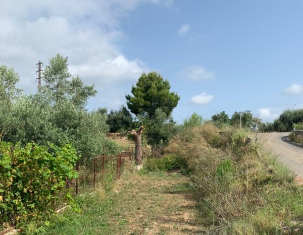 Fer de la via de Val de Zafán una via verda, proposta guanyadora dels pressupostos participatius