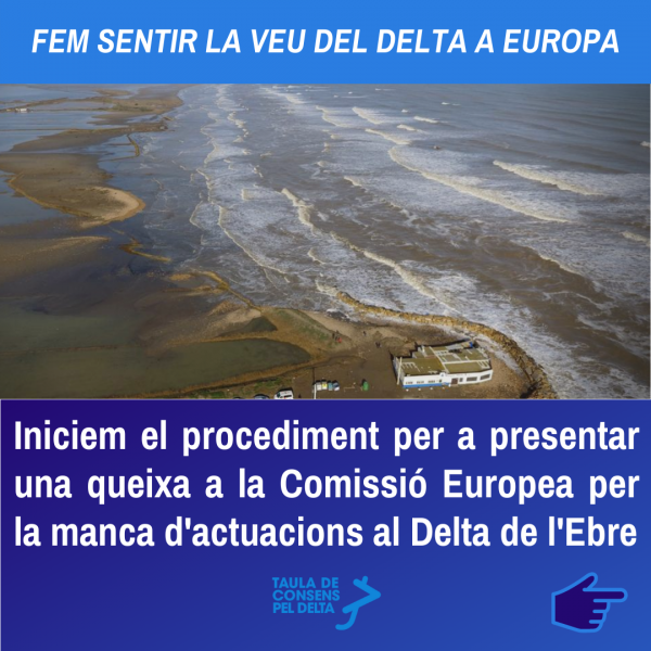 La Taula de Consens pel Delta inicia procediment per a presentar una queixa a a Comissió Europea