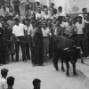 ELS BOUS : Bou capllaat