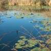 ELS ULLALS DE BALTASAR