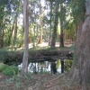 ELS ULLALS DE BALTASAR