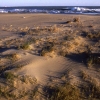 EL RIET VELL I LES PLATGES DE LALUET I EUCALIPTUS