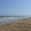 EL RIET VELL I LES PLATGES DE LALUET I EUCALIPTUS