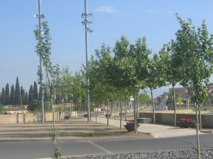 Rotonda de la ronda Aragonesa (desprs de l'actuaci) 