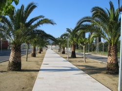 Av. Aragonesa 1 fase (desprs de l'actuaci)